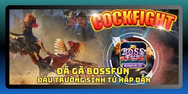 Đá gà Bossfun - Sân chơi đá gà uy tín, tỷ lệ thắng cao 1 Đá gà Bossfun - Đấu trường đá gà hấp dẫn
