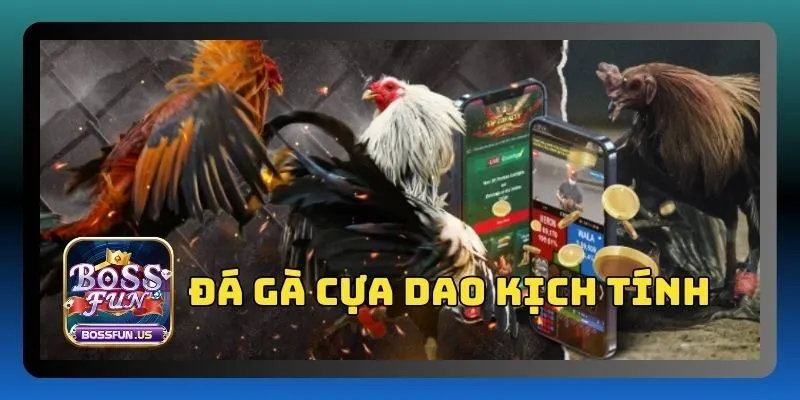 Đá gà Bossfun - Sân chơi đá gà uy tín, tỷ lệ thắng cao 3 Đá gà cựa dao nổi bật với trận đấu kịch tính, gay cấn